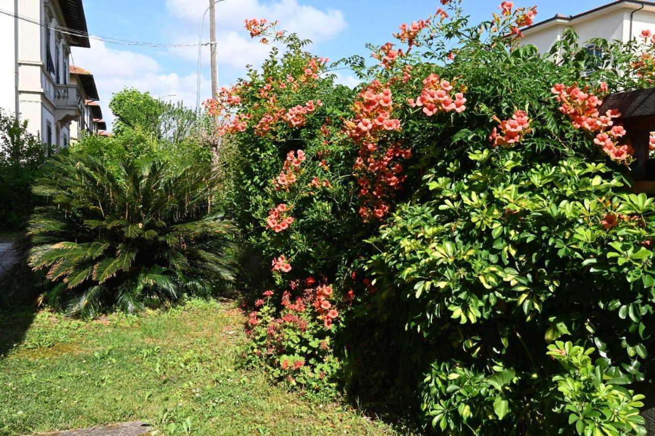 Villa Mehari Pisa Dış mekan fotoğraf