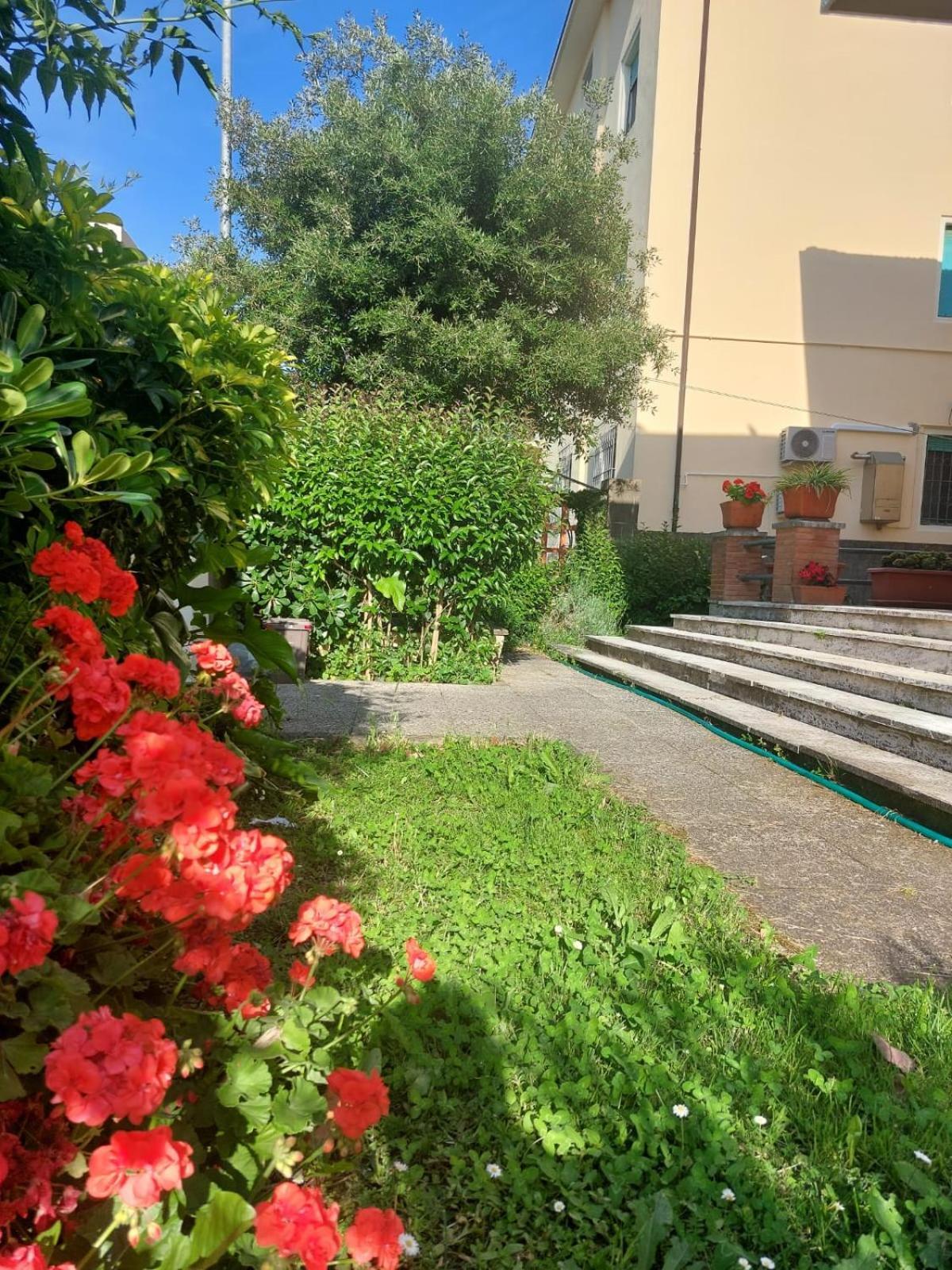 Villa Mehari Pisa Dış mekan fotoğraf