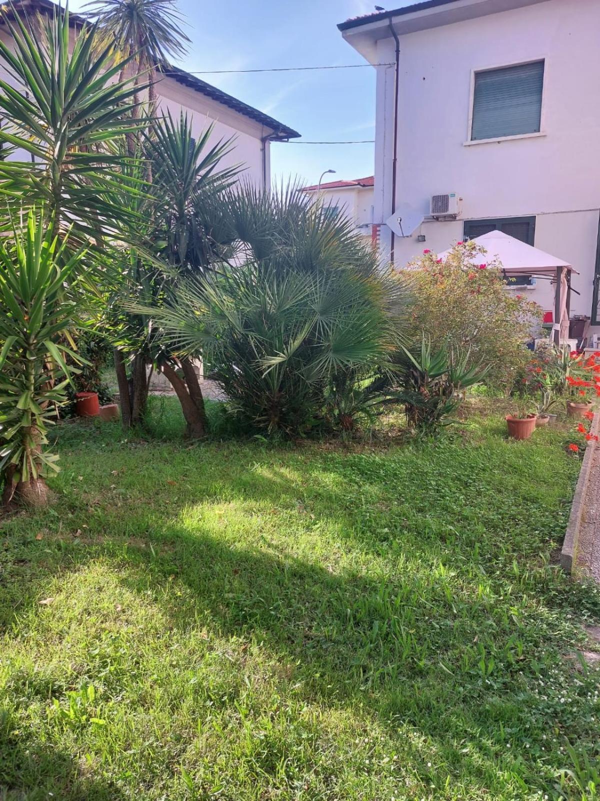 Villa Mehari Pisa Dış mekan fotoğraf