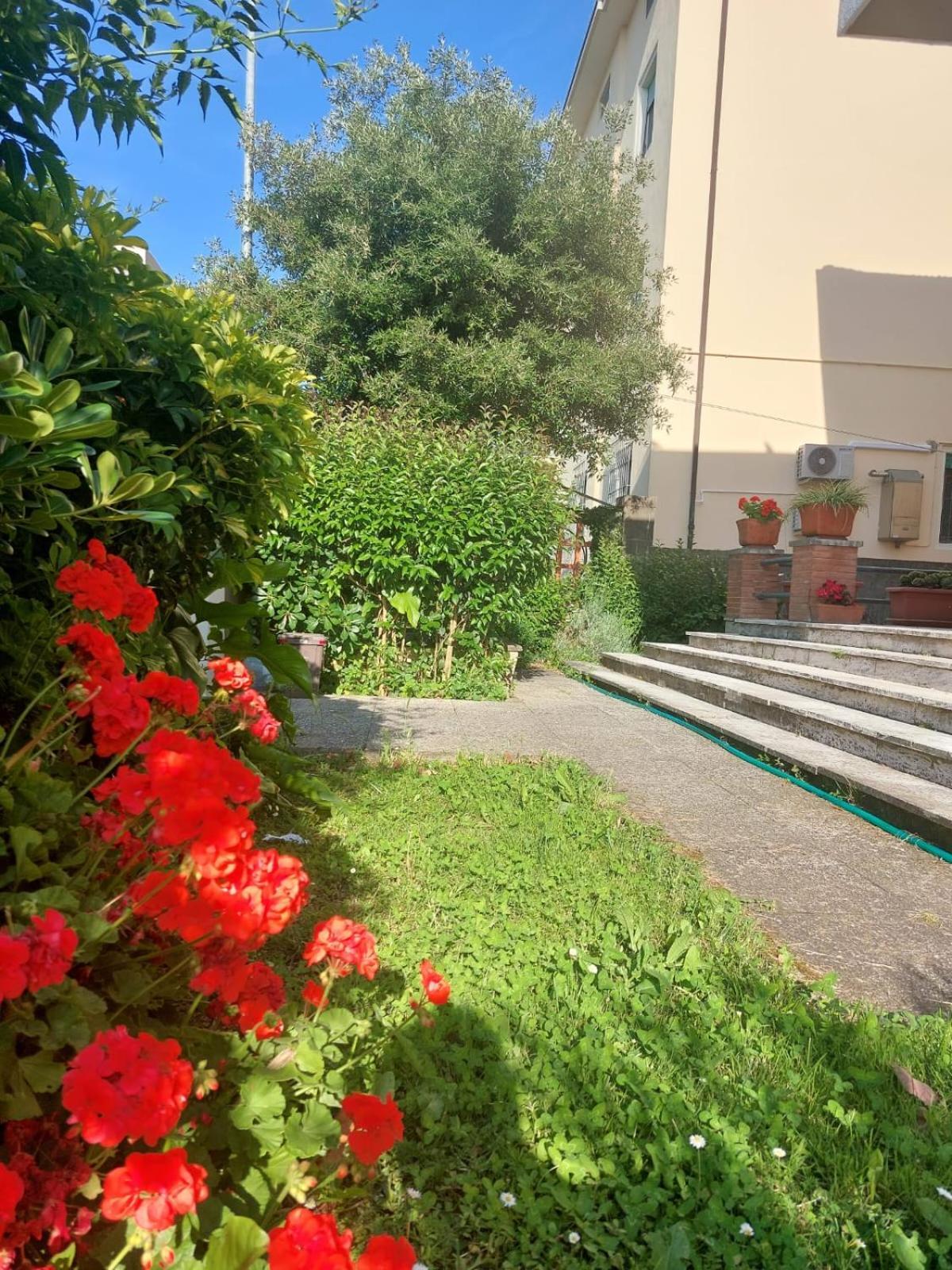 Villa Mehari Pisa Dış mekan fotoğraf